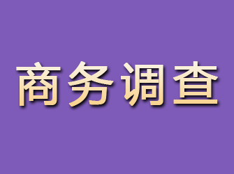 长海商务调查